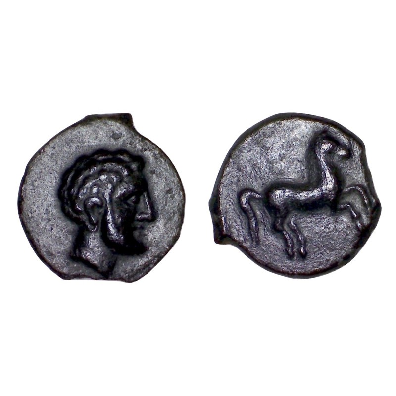Sicile, Solus Ae13 (-300 à -241) Melkaart et Cheval