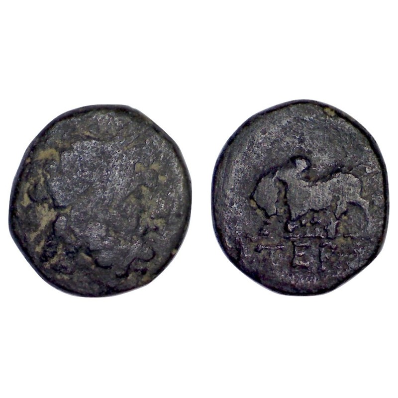 Pisidie, Termesos major ae13 Unité Cuivre (-76à -36) Zeus et taureau