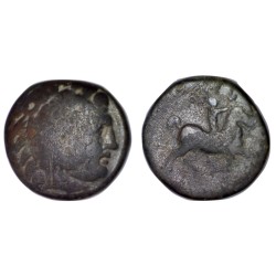 Macedoine, Antigonos Gonatas Ae19 cuivre (-277 à -239)  Heracles Cheval