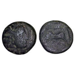 Syrie, SÉLEUCIDE Seleucos 1er AE19 Chalque (-300 à -281) Antioche