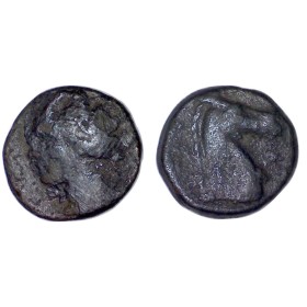 Zeugitane , Carthage Ae17 shekel cuivre  (-300 à -264) Tanit et cheval