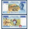 Afrique Centrale Pick 207Ud pour le Cameroun, Billet de banque de 1000 Francs CFA 2002