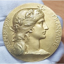 Médaille offerte par le député Farjon vermeil, Dupuis début 20eme poincon corne