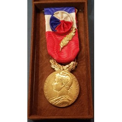 Médaille du ministere des affaires sociales "palme vermeil", 1978 sans poincon
