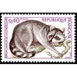 Timbre France Yvert No 1754 Raton laveur de la Guadeloupe