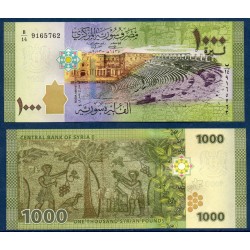 Syrie Pick N°116, Billet de banque de 1000 Pounds 2013