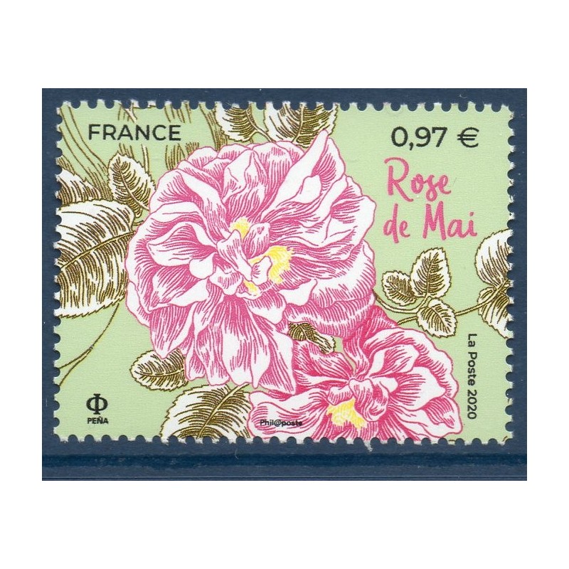 Timbre France Yvert No 5400  fleurs de Grasse et de Méditérranée luxe **