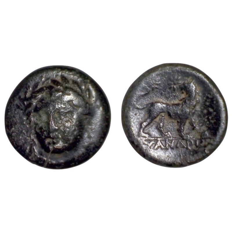 Ionie, Milet Ae16 (-225 à -200) lion, apollon magistrat Alexandre