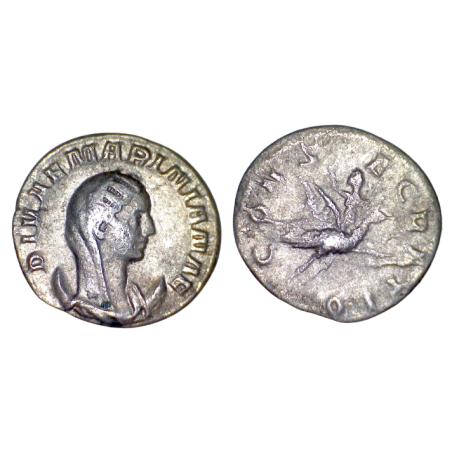 Antoninien de Mariniane (253-254), RIC 6 Sear 10070 Rome