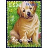 Timbre France Yvert No 3898 Le chiot Les jeunes animaux domestiques