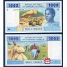 Afrique Centrale Pick 207Ua pour le Cameroun, Billet de banque de 1000 Francs CFA 2002