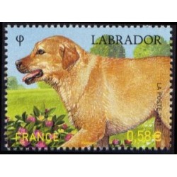 Timbre France Yvert No 4545 Les chiens, le Labrador