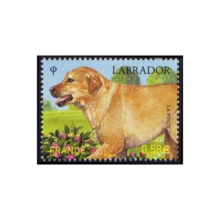 Timbre France Yvert No 4545 Les chiens, le Labrador