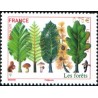 Timbre France Yvert No 4551 Europa, les forêts