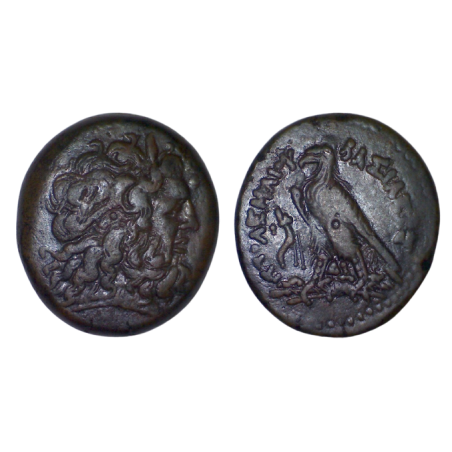 Egypte, Royaume Lagide - Ptolémée III Ae33 Hemidrachme Cuivre (-246 à -221) Zeus Amon