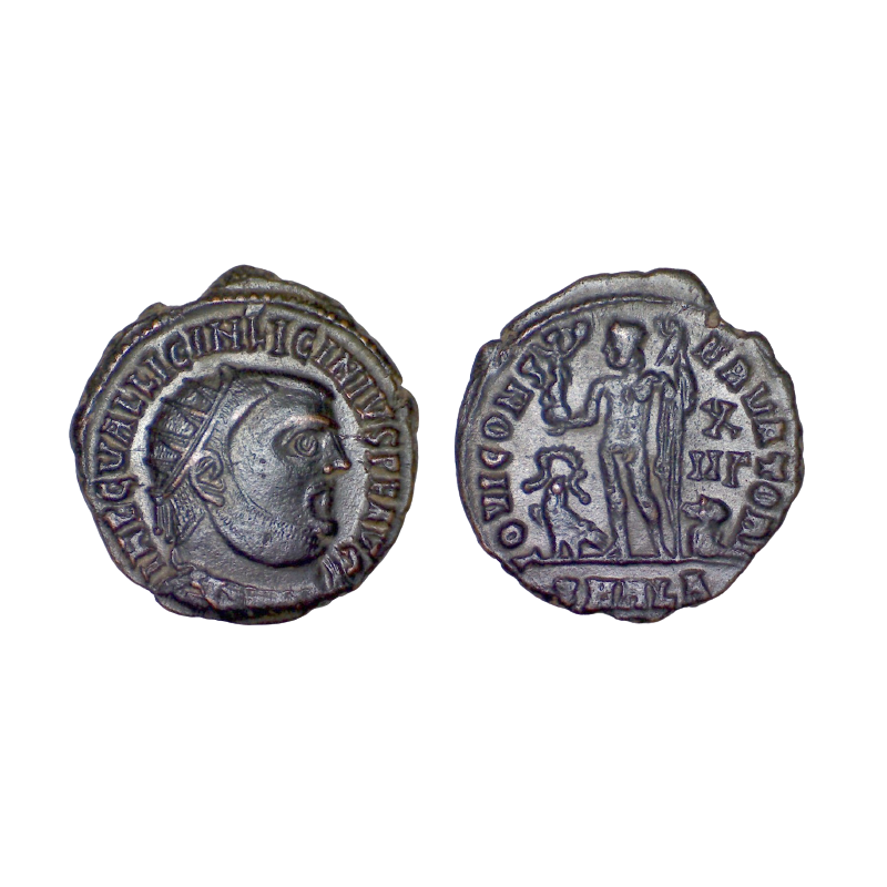 AE3 radié Licinius (318-324), RIC 28 sear 15226 atelier Alexandrie