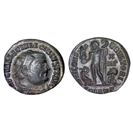 AE3 radié Licinius (318-324), RIC 35 sear 15225 atelier Antioche