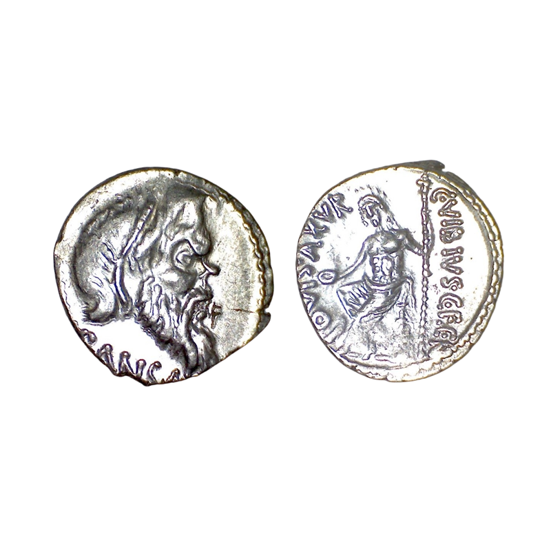 Denier Famille Vibia, république de Rome (-48), sear 420 Caius Vibius