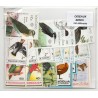 100 timbres Oiseaux du  Monde