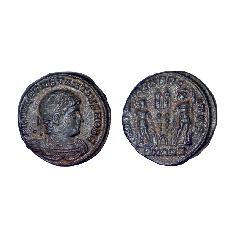 AE3 Constance II (330-335), RIC 88 sear 17255 Antioche