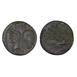 dupondius ou as de nimes (-14 à -10), type III atelier Nimes