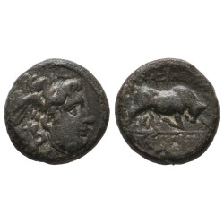 Syrie, SÉLEUCIDE Seleucos 1er AE14 Chalque (-312 à -281) Antioche