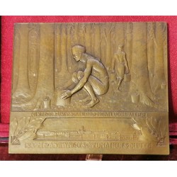 médaille plaque JB Dunlop, 1928 par rémi Baudichon en ecrin