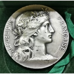 Médaille Bureau assistance judiciaire Argent, Dupuis 1965 poincon corne