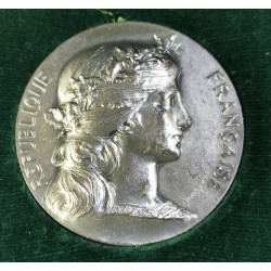 Médaille Bureau assistance judiciaire Argent, Dupuis 1961 poincon corne