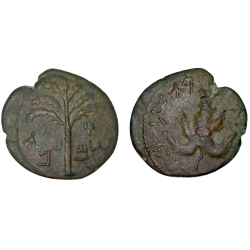 judée, revolte de Simon Bar Kochba Ae27 cuivre moyen bronze (132-135)  Hendin 1437