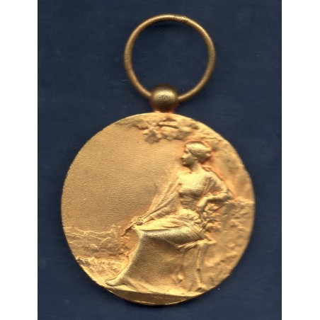 médaille d'honneur des services bénévoles