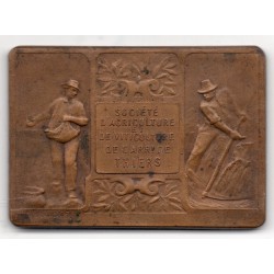 Plaque Medaille Société d'agriculture et Viticole de Thier cuivre poicon triangle