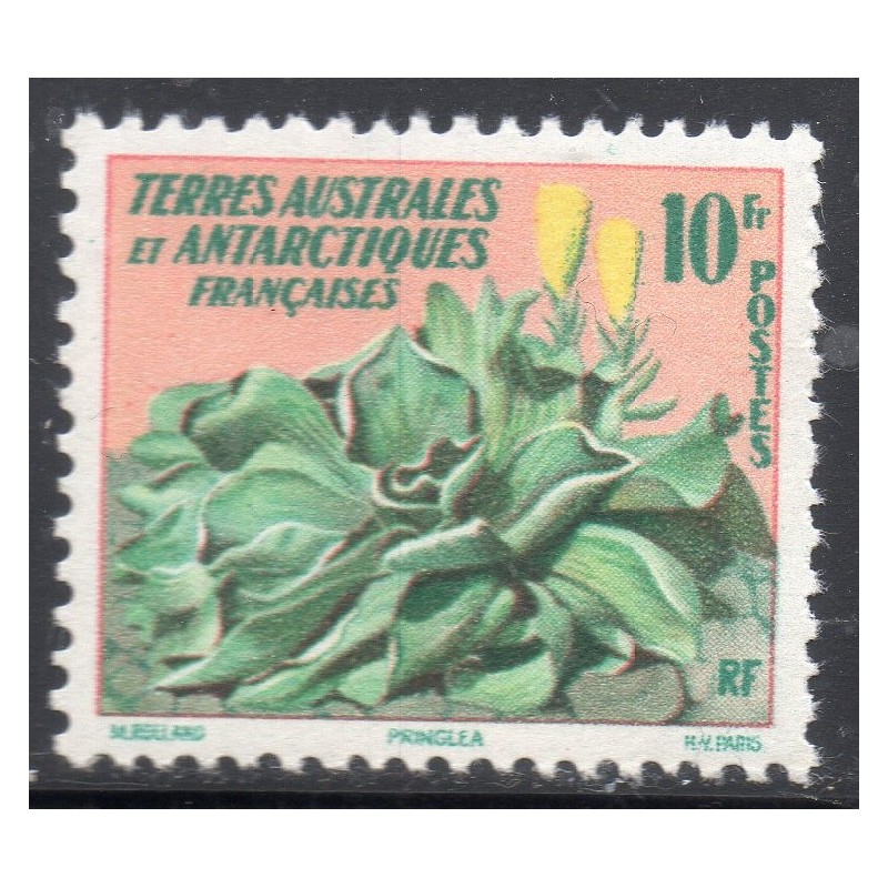 Timbre TAAF Yvert No 11 Flore, pringlea neuf ** 1958