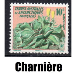 Timbre TAAF Yvert No 11 Flore, pringlea neuf * charnière 1958