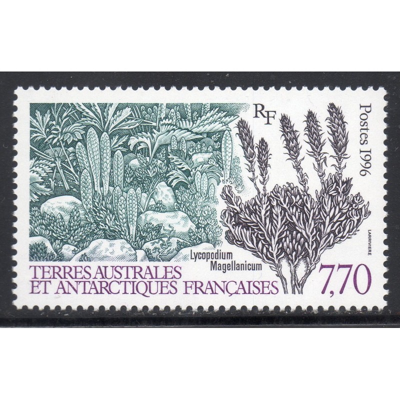 Timbre TAAF Yvert No 209 Lycopodium Magellanicum neuf ** 1996