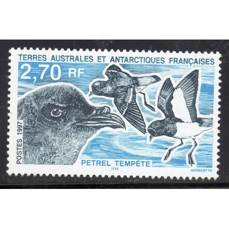 Timbre TAAF Yvert No 214 Petrel Tempete neuf ** 1997