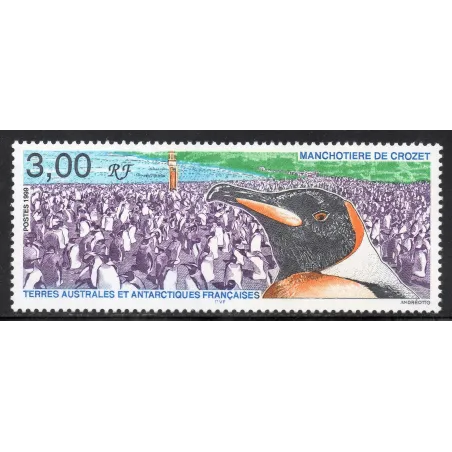 Timbre TAAF Yvert No 237 Manchotiere de Crozet neuf ** 1999