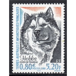 Timbre TAAF Yvert No 265 Hobbs chien de traineau neuf ** 2000