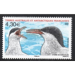 Timbre TAAF Yvert No 553 Sterne de Kerguelen neuf ** 2010