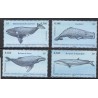 Timbre TAAF Yvert No 587-590 Baleines australes neuf ** 2011