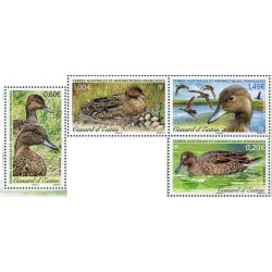 Timbre TAAF Yvert No 649-652 Canards neuf ** 2013