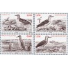 Timbre TAAF Yvert No 693-696 Oiseaux Marins Austraux neuf ** 2014