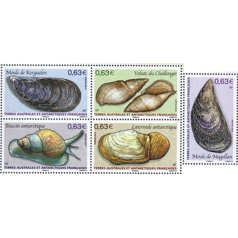 Timbre TAAF Yvert No 697-701 les molusques neuf ** 2014