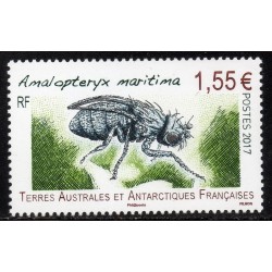 Timbre TAAF Yvert No 802 amalopterix neuf ** 2017