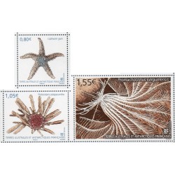 Timbre TAAF Yvert No 865-867 Echinodermes neuf ** 2018