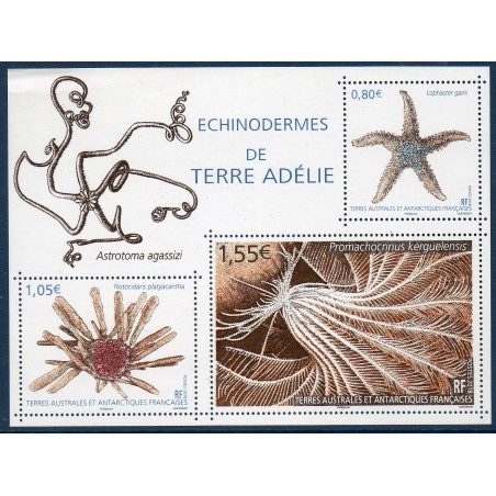 Timbres TAAF Bloc Yvert No F865 Echinodermes neuf ** 2018