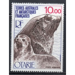 Timbre TAAF Poste aerienne Yvert 48 Otarie neuf ** 1977
