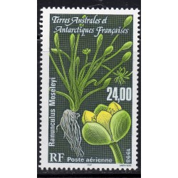 Timbre TAAF Poste aerienne Yvert 146 Ranunculus Moseleyi neuf ** 1998