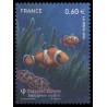 Timbre France Yvert No 4646 Poisson clown, amphiprion ocellaris