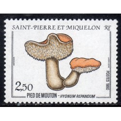 Timbre Saint Pierre et Miquelon 513 Pied de mouton neuf ** 1990